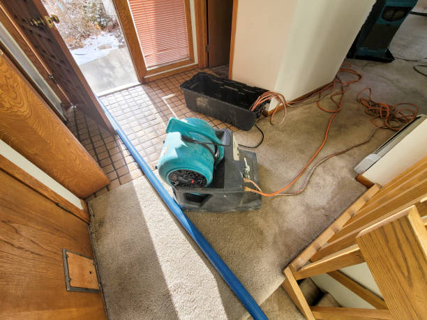  Guin, AL Water damage restoration Pros