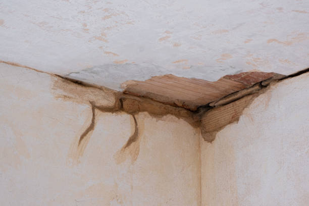 Best Local water damage restoration  in Guin, AL
