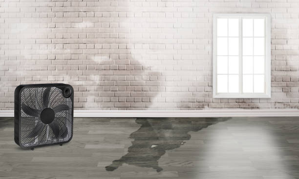 Best Water damage mitigation services  in Guin, AL