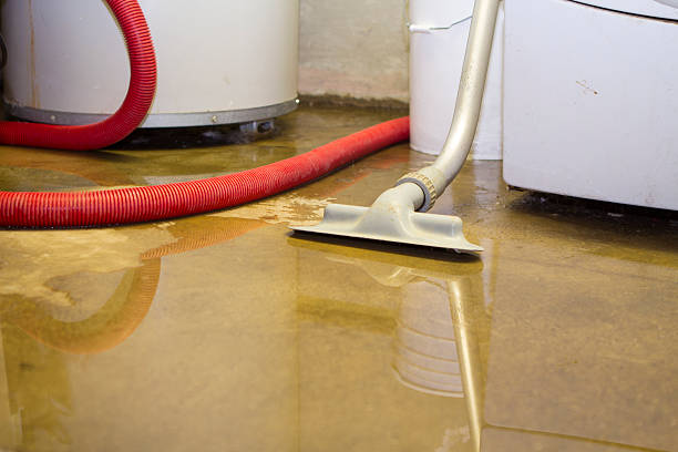Best Water damage restoration near me  in Guin, AL