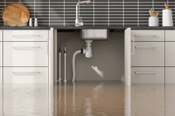 Best 24/7 water damage repair  in Guin, AL