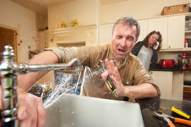 Best Flooded house restoration  in Guin, AL